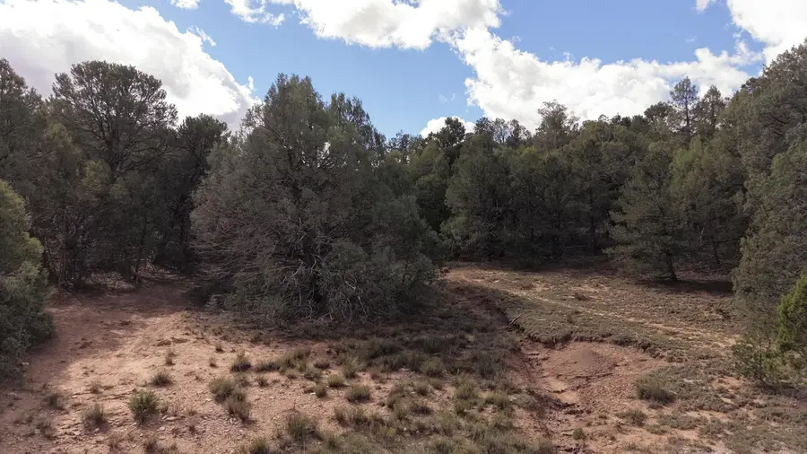 14 Los Pecos Lp Loop, Tijeras, NM 87059 - #2