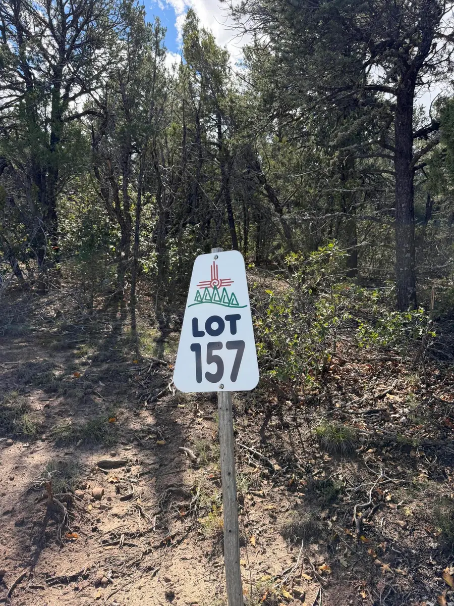 50 Los Pecos Loop, Tijeras, NM 87059 - #2