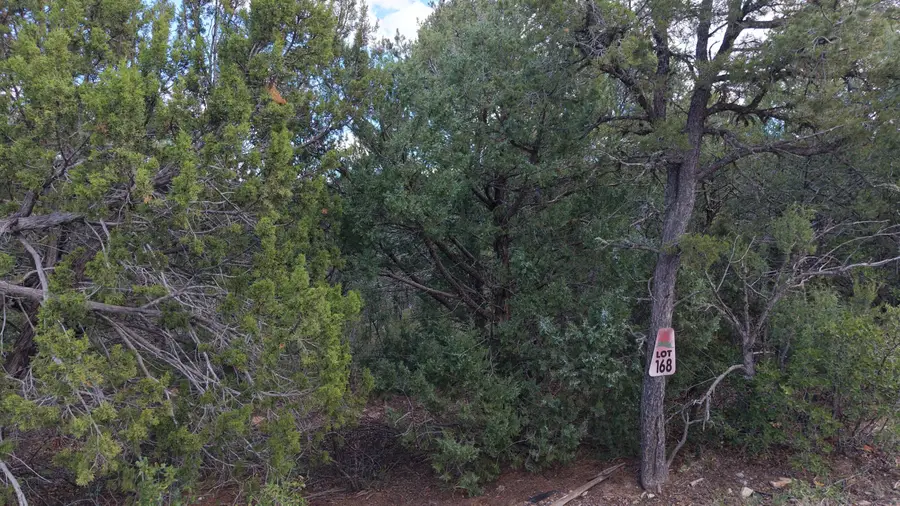 25 Los Pecos Loop, Tijeras, NM 87059 - #2