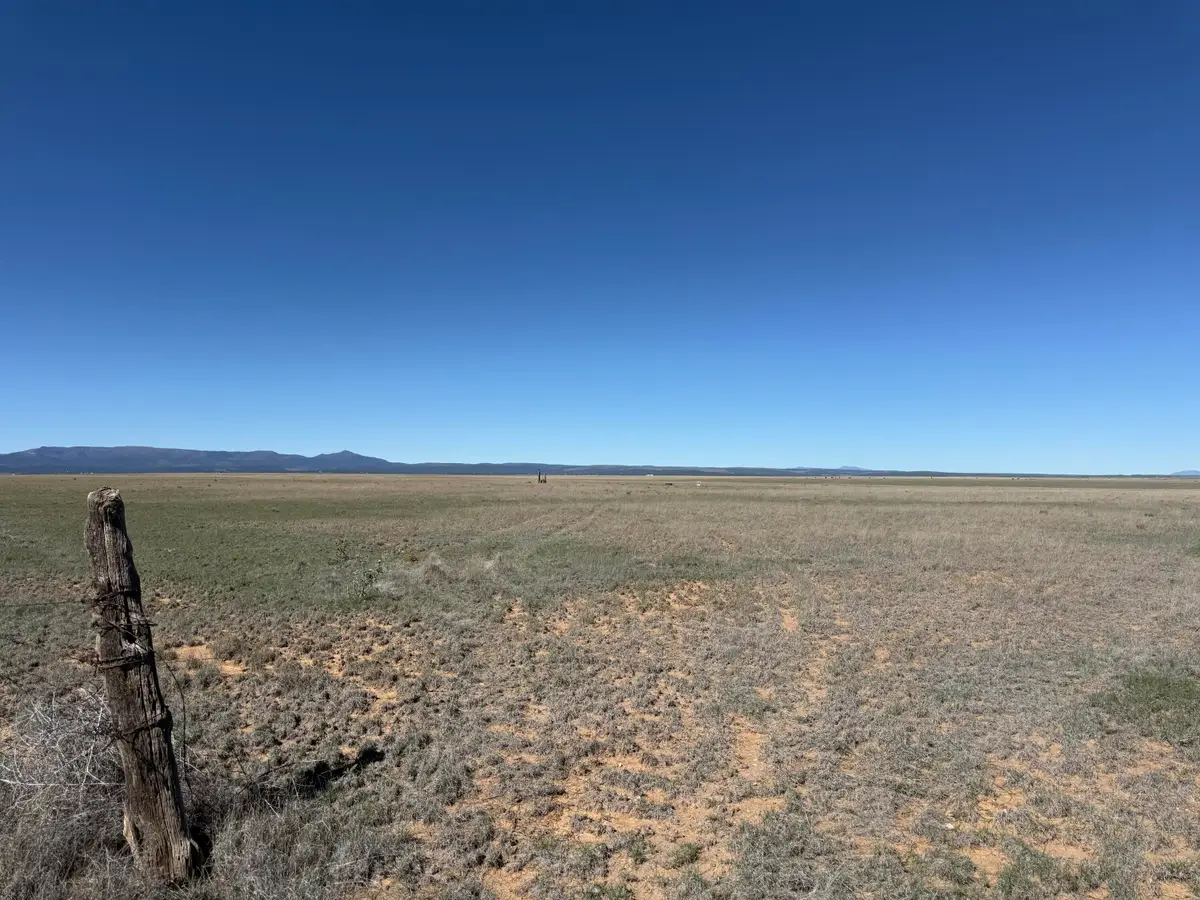 R029290, Estancia, NM 87016 - #1