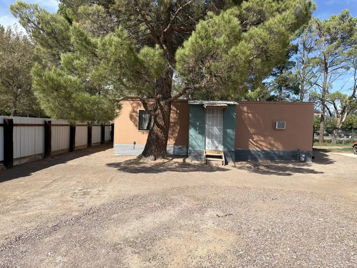 215 Tamarack Street, Socorro, NM 87801 - #1