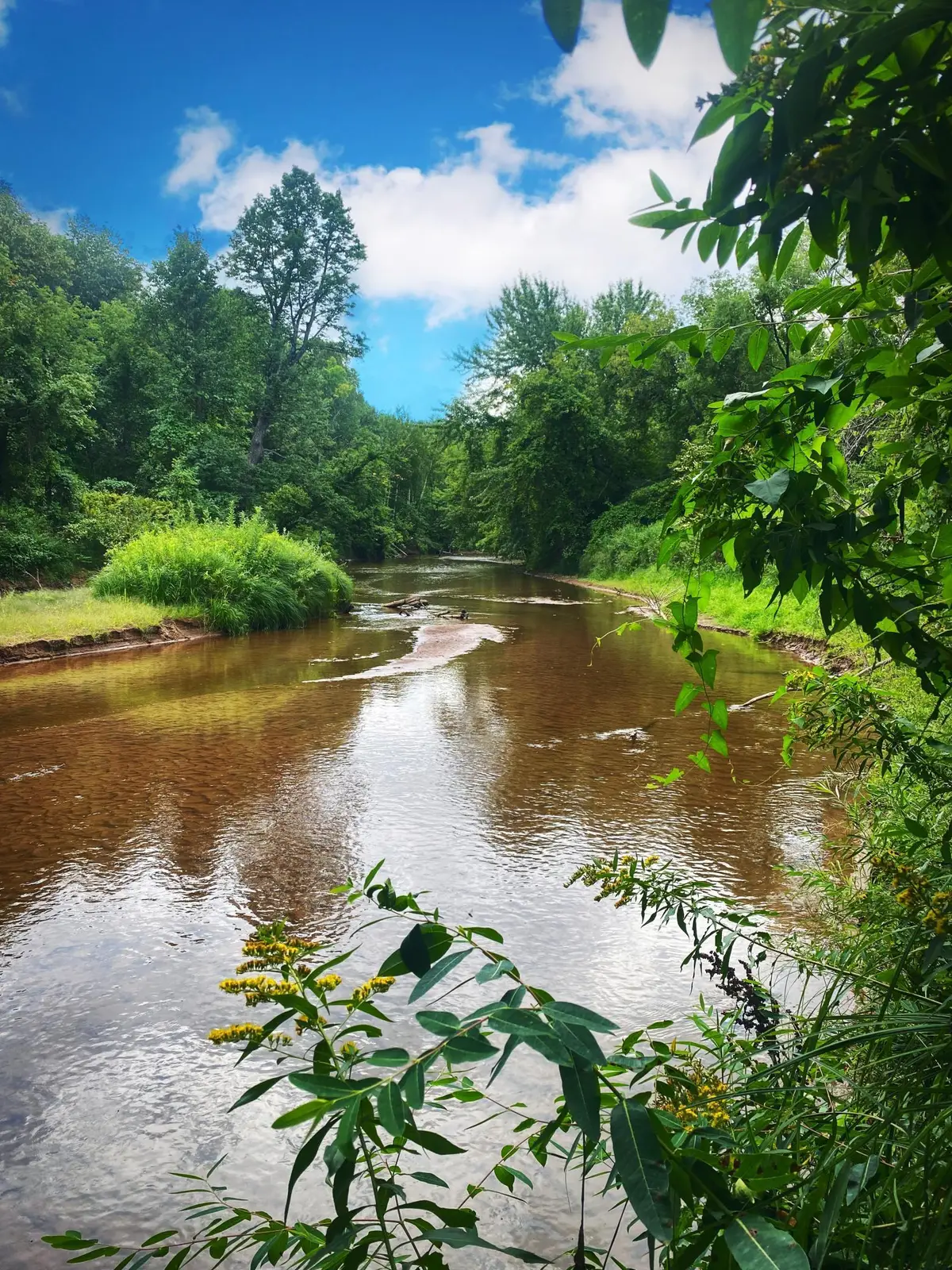 000 Van Ornum Road, Marengo, WI 54855 - #1