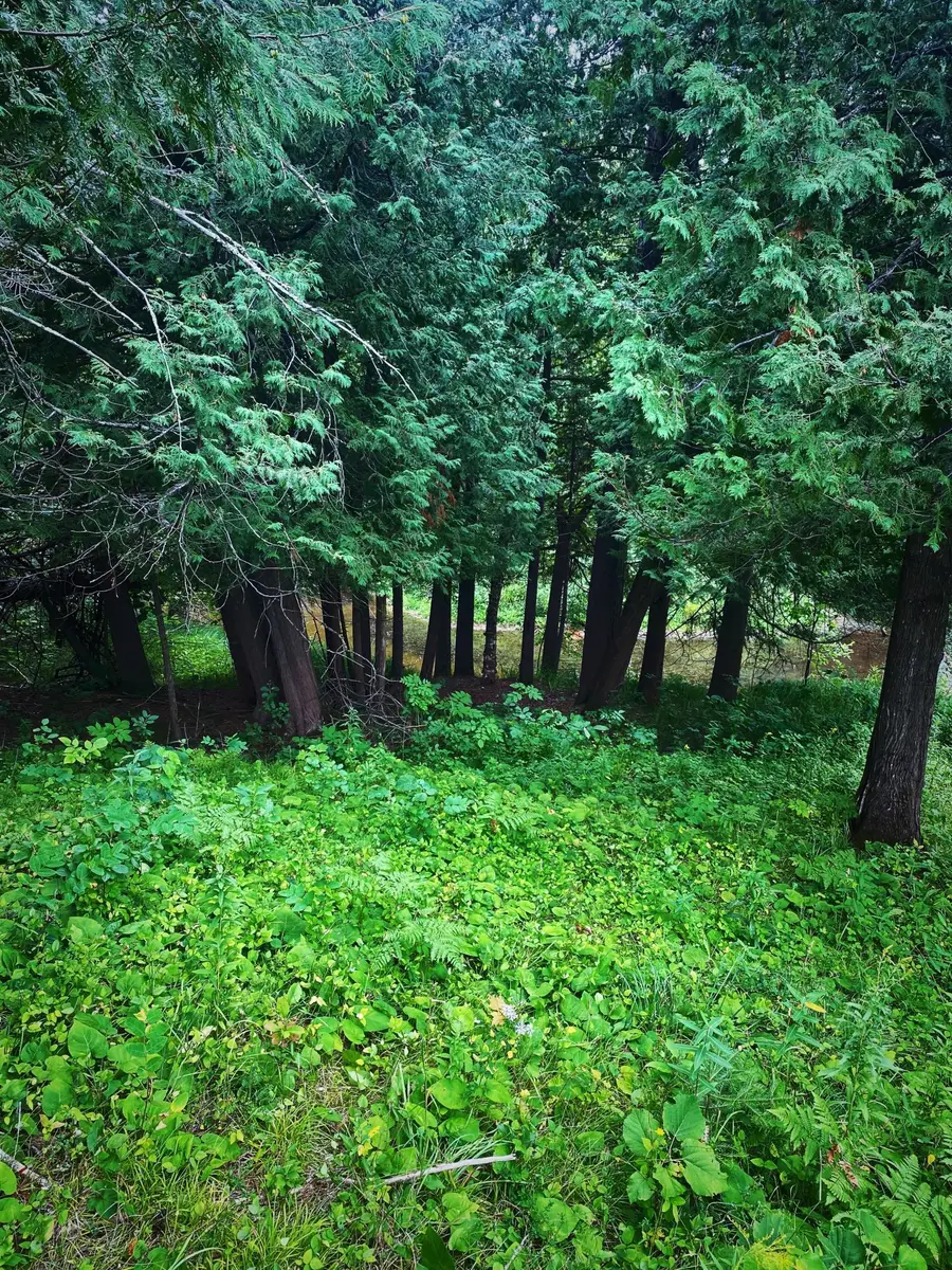 000 Van Ornum Road, Marengo, WI 54855 - #3