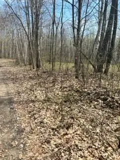 XXX Opal Ln, Cushing, MN 56443