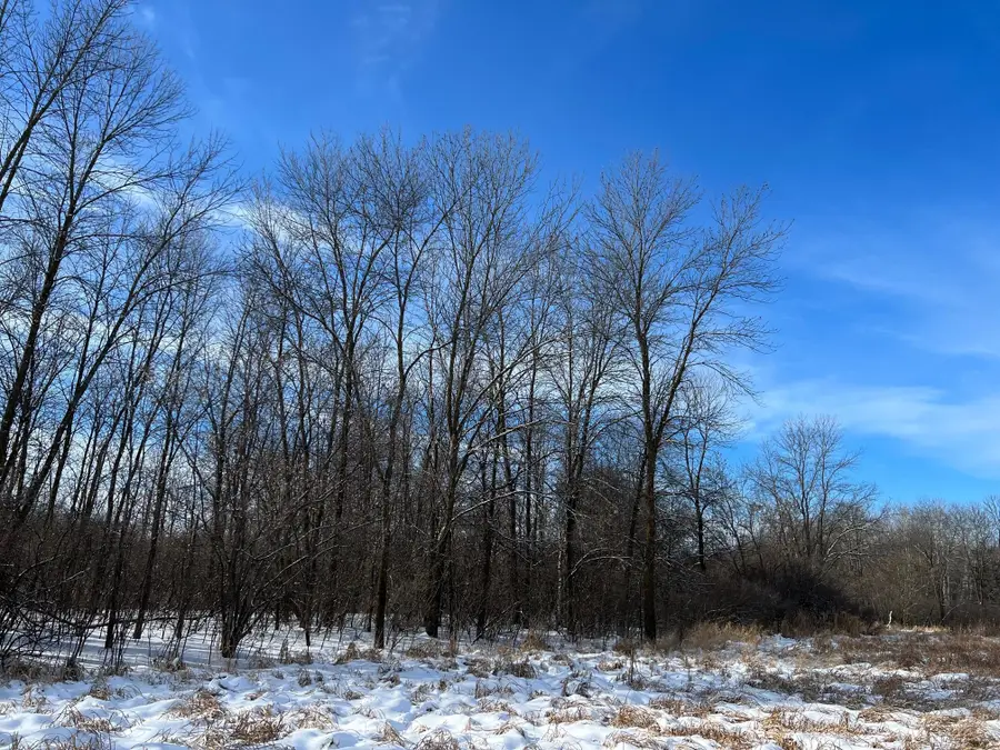 169xx Lake Boulevard, Shafer, MN 55074 - Image #2