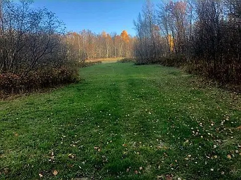 #3
