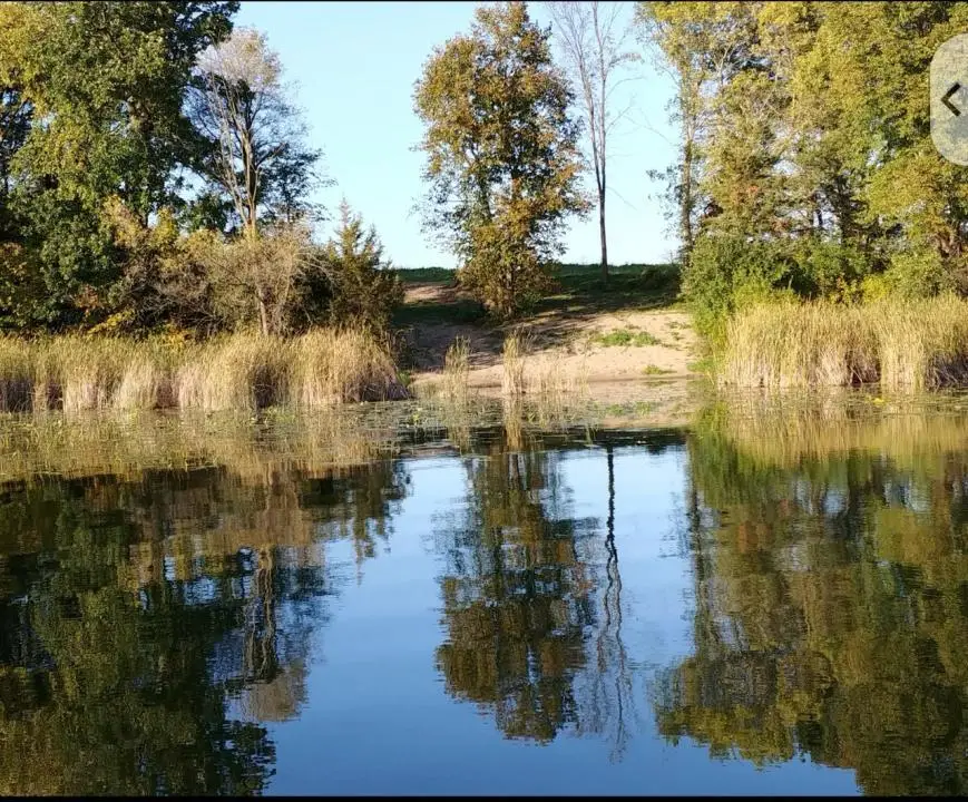 #2