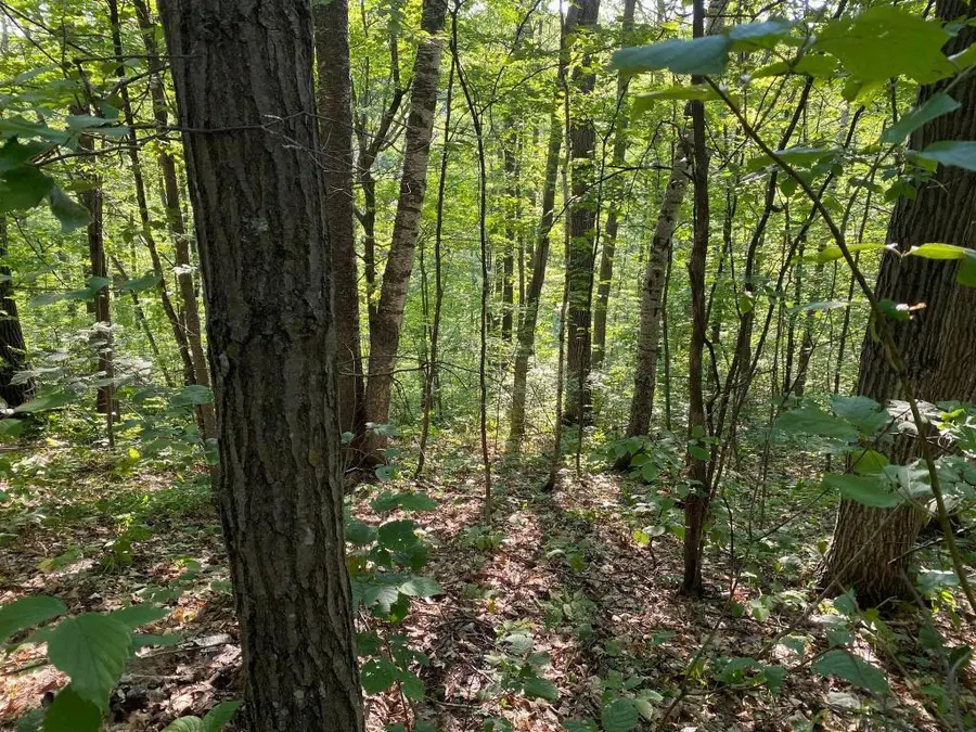 #2