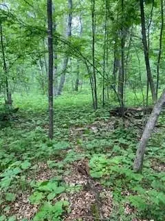 #3