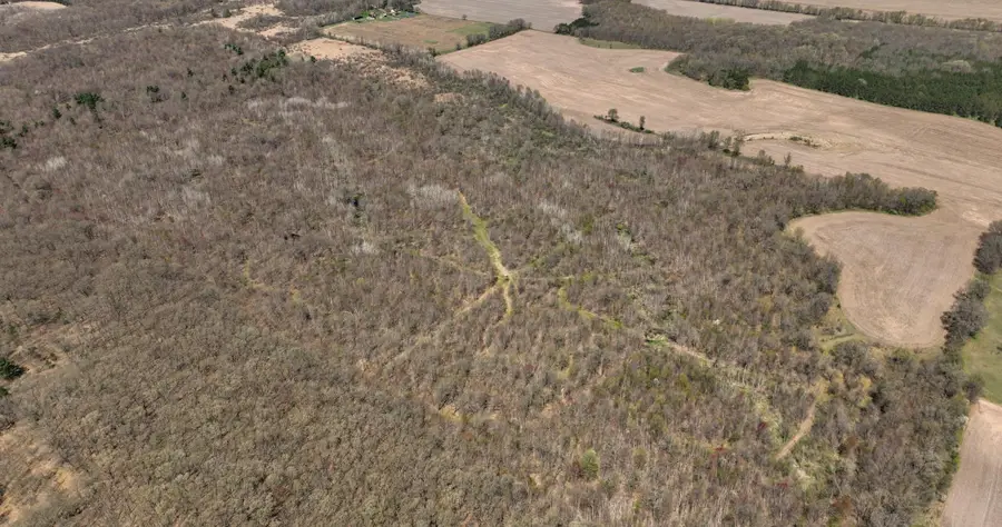 TBD Highway 93, Eleva, WI 54738 - #2