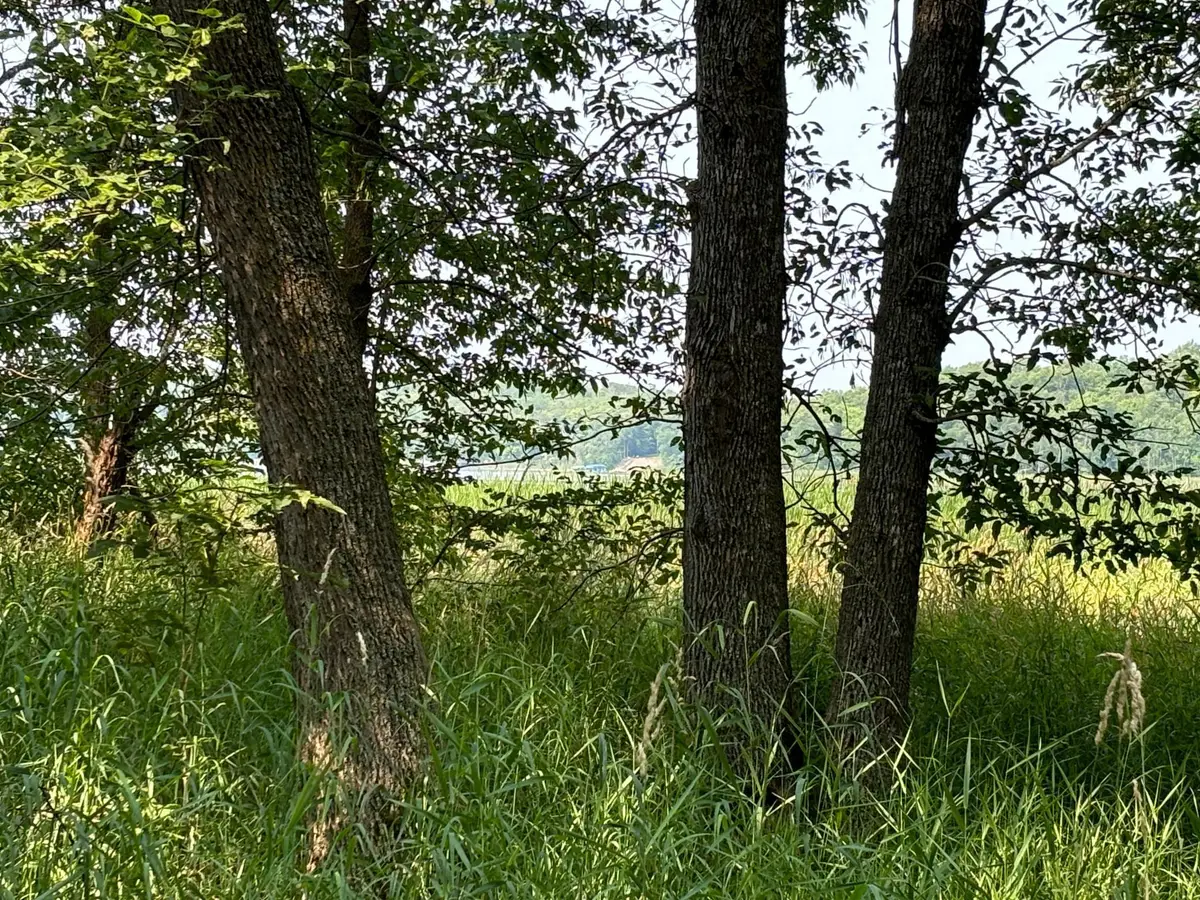 1250 Island Lake Resort Drive, Lengby, MN 56651 - Image #1