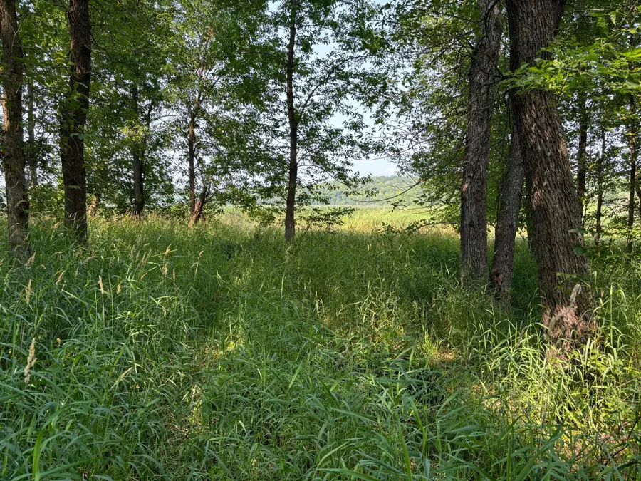 1250 Island Lake Resort Drive, Lengby, MN 56651 - Image #2