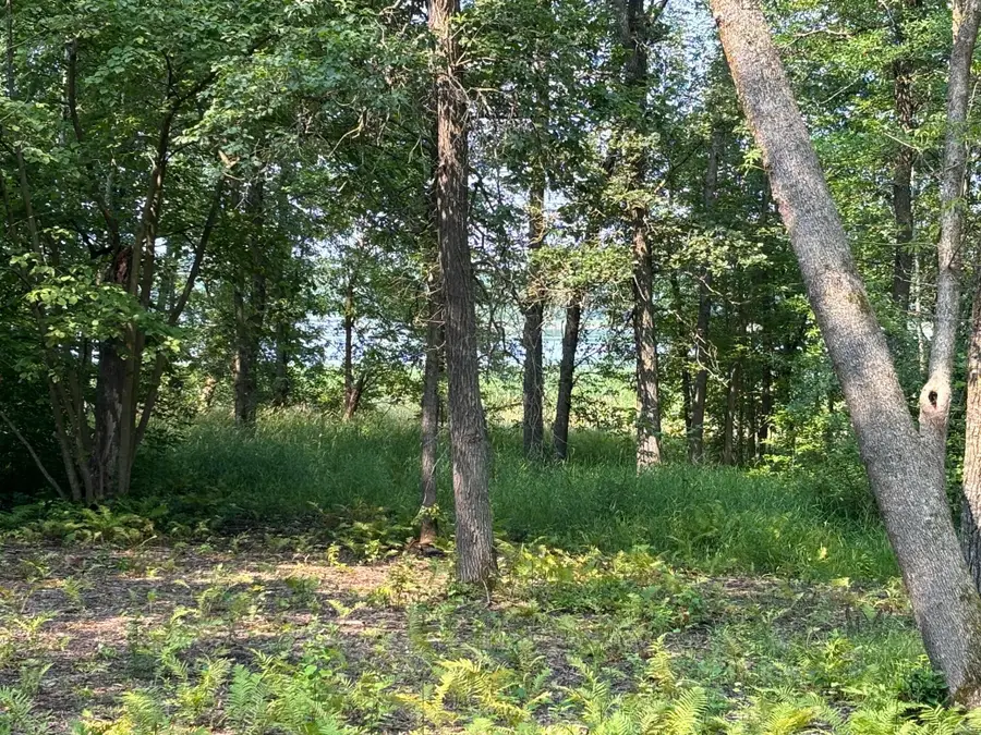 1250 Island Lake Resort Drive, Lengby, MN 56651 - Image #3