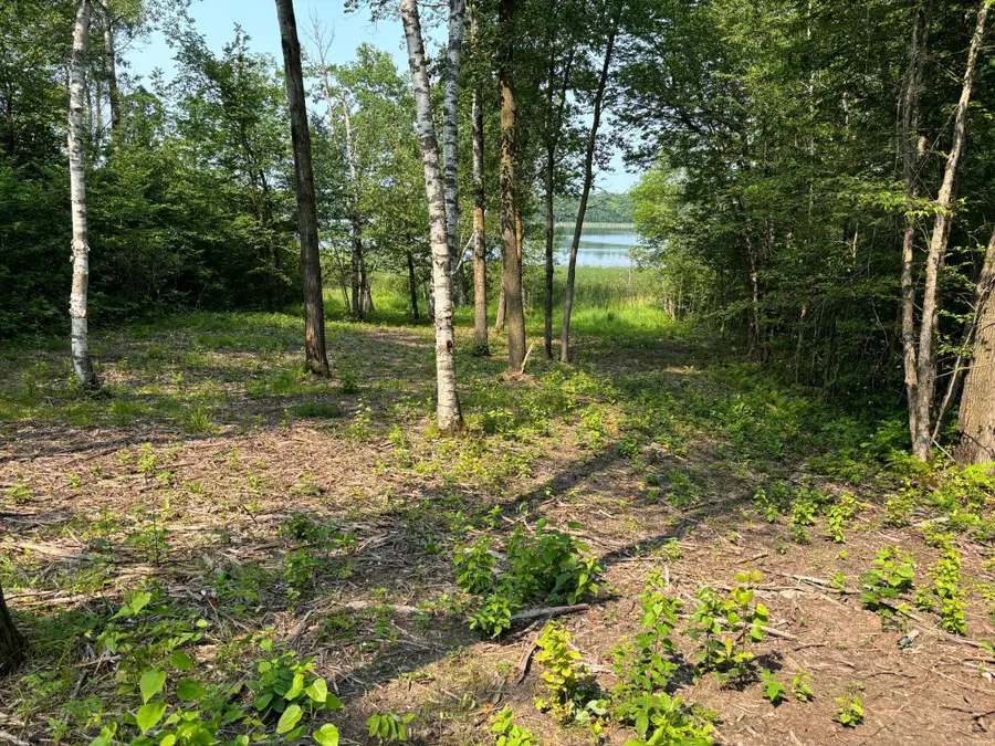 1254 Island Lake Resort Drive, Lengby, MN 56651 - Image #2