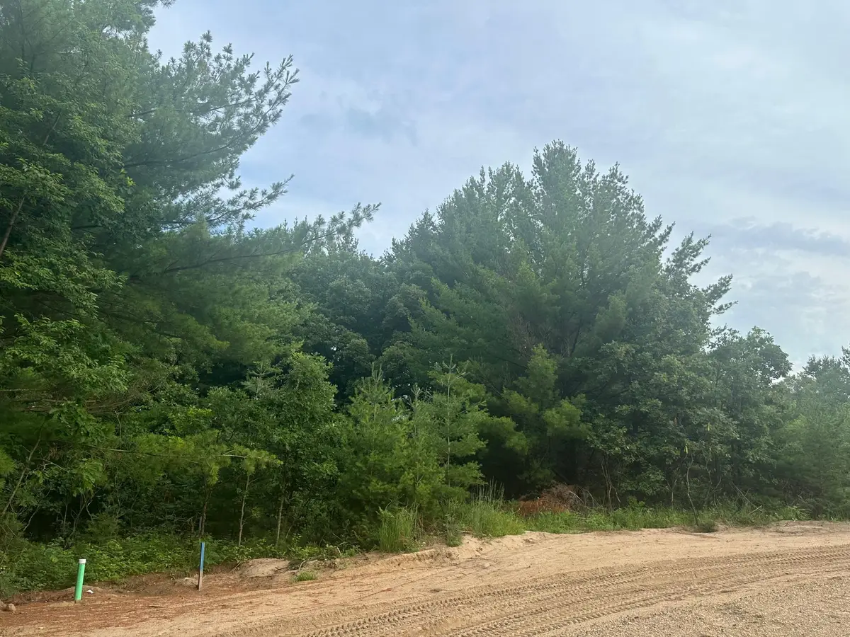 Lot 11 Blk 1 Brummer Drive, Randall, MN 56475 - #1