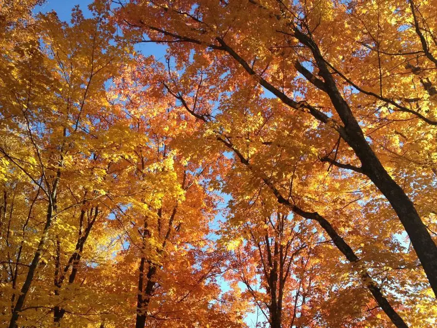 446 Stewart Lake Road, Two Harbors, MN 55616 - #2