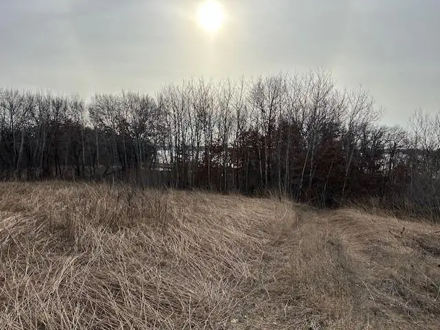 XXXX 273rd Ave Nw, Livonia Township, MN 55330 - Image #3