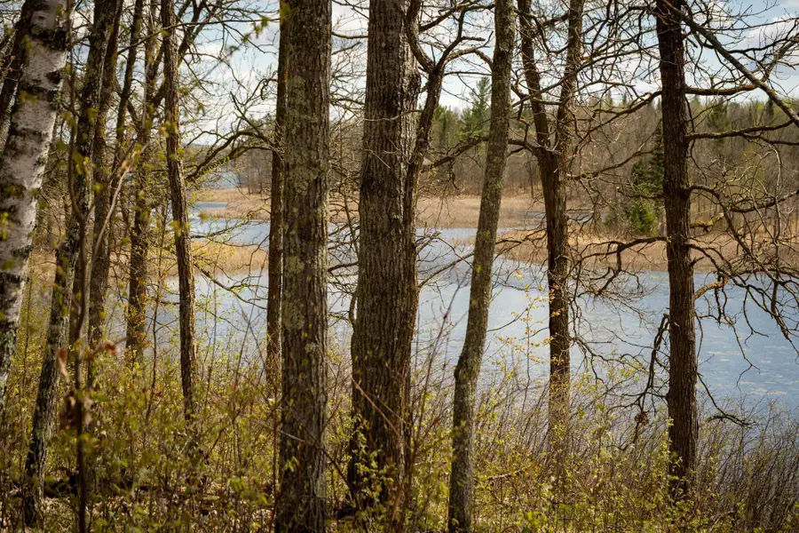 Tract A Brietbach Road, Park Rapids, MN 56470 - #2