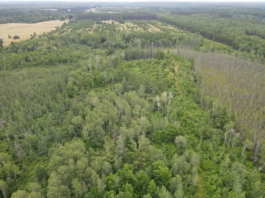 W39XX Frog Creek Road, Minong, WI 54859 - Image #3