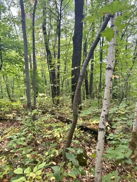 xxx Pebble Pass, Cushing, MN 56443 - #1