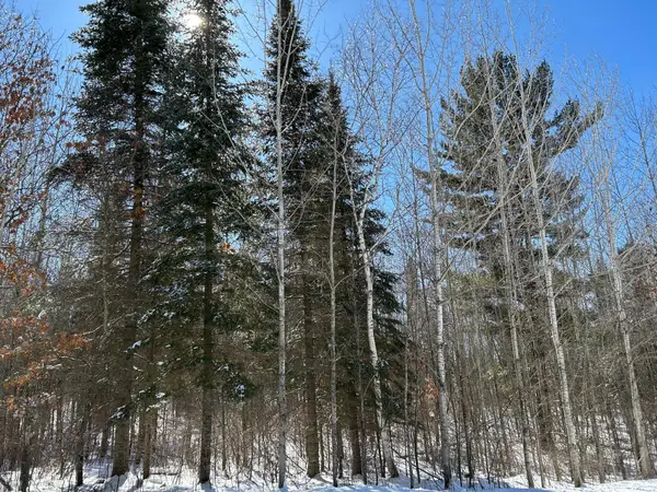 TBD NW 36th Street, Akeley, MN 56433