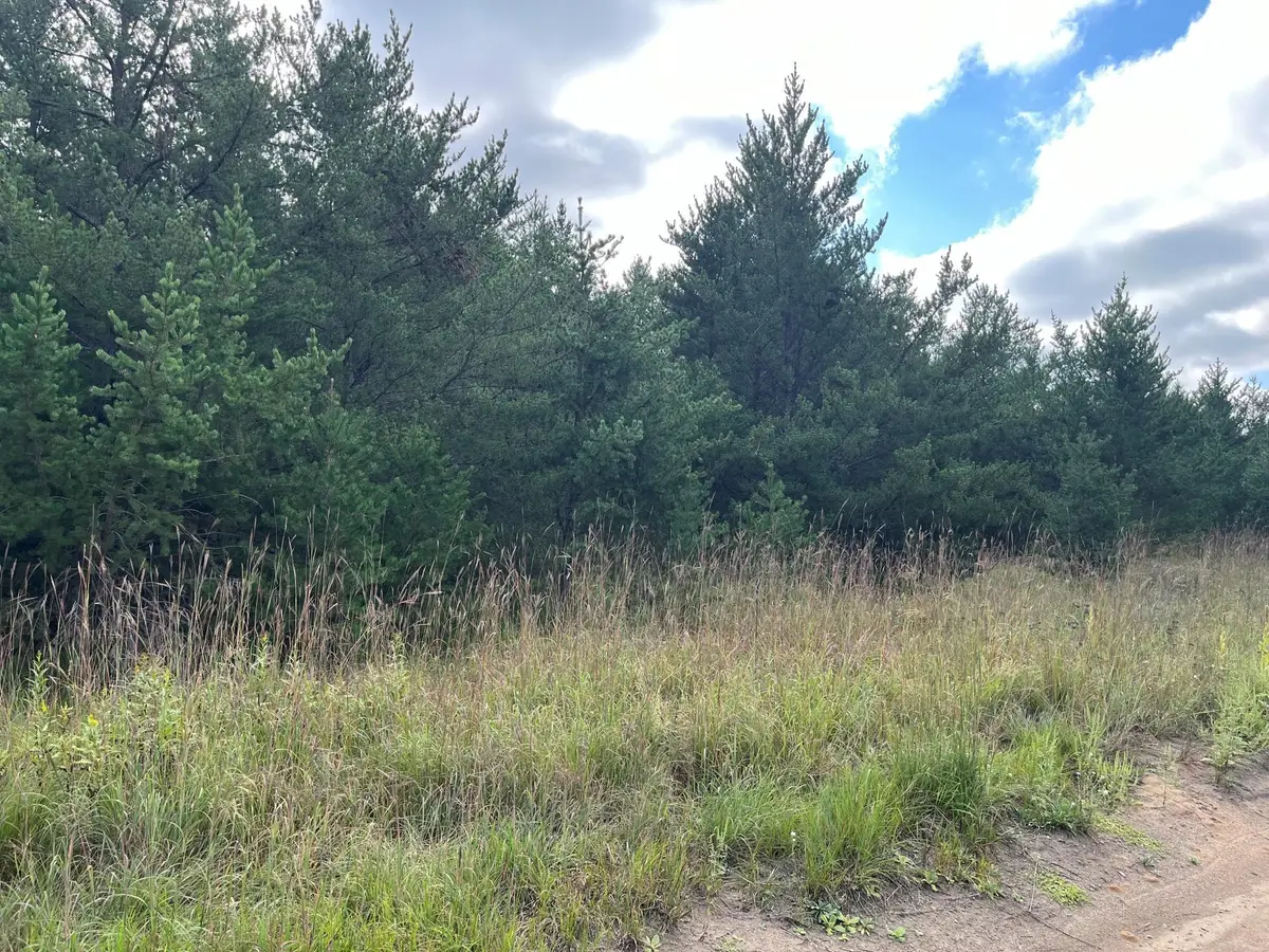 1707 Hassman Hill Tract D Road Sw, Pine River, MN 56474 - #1