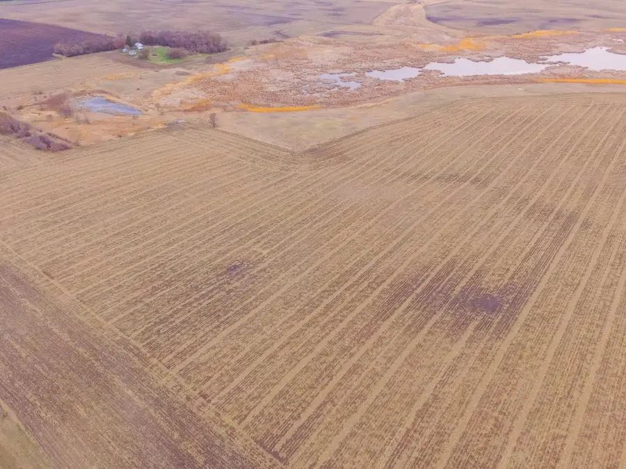 TBD 170th St, Madison, MN 56256 - Image #2