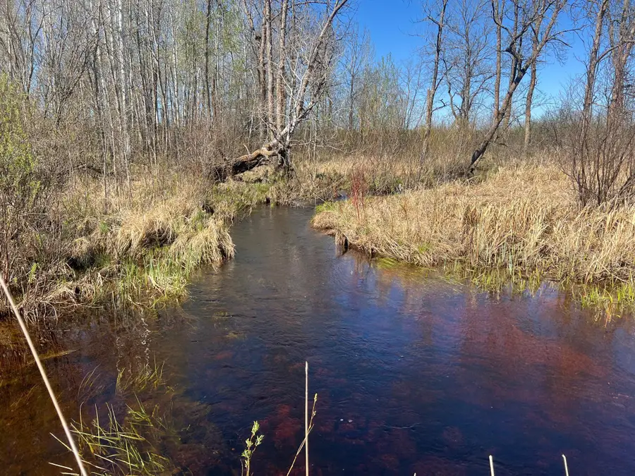 TBD County Road 19, Kettle River, MN 55757 - Image #2