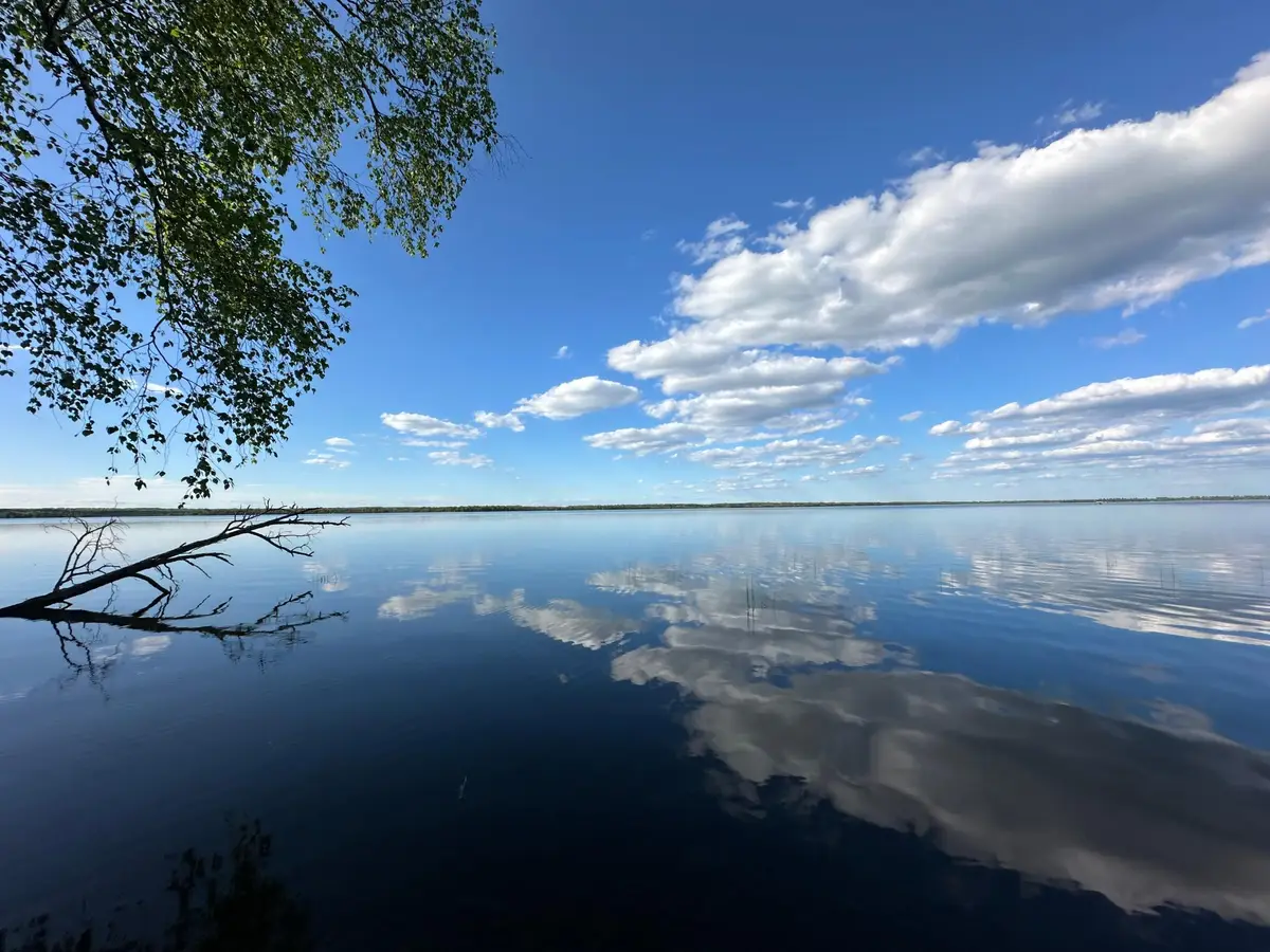 44698 Idas Road, Osage, MN 56570 - #1