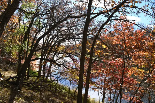 38869 Odin Court, Ward Twp, MN 56438