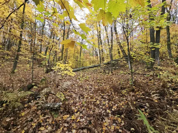 Lot 26 Block 1 Westward Ho, Roosevelt Twp, MN 56450