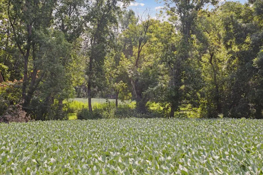 24x1 Holy Name Drive, Medina, MN 55340 - #3