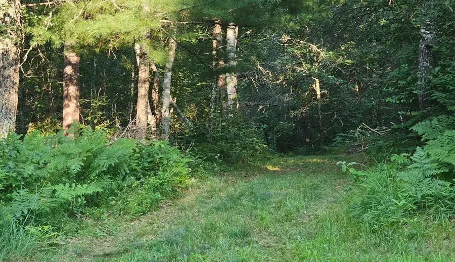 #2