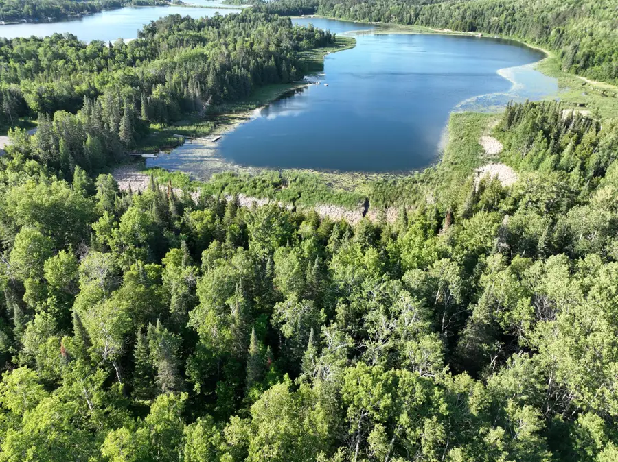 TBD-3 Christmas Point Road Nw, Walker, MN 56484 - #3