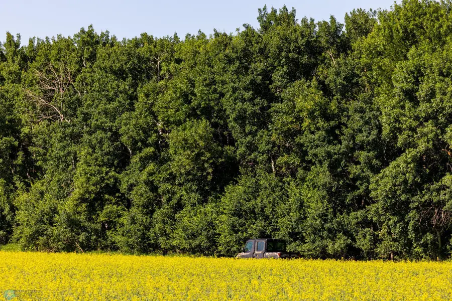 TBD Lake Road, Bottineau, ND 58318 - #2