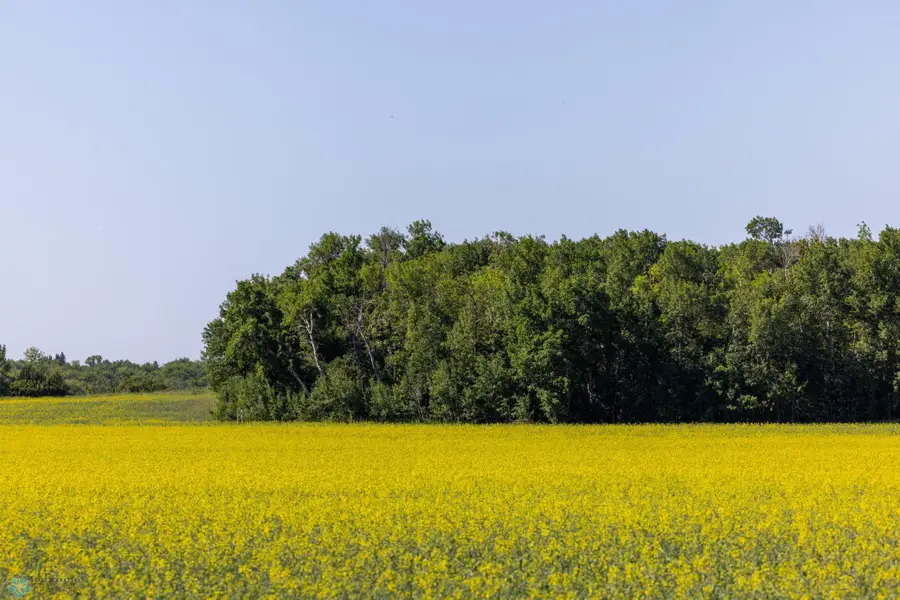 TBD Lake Road, Bottineau, ND 58318 - #3