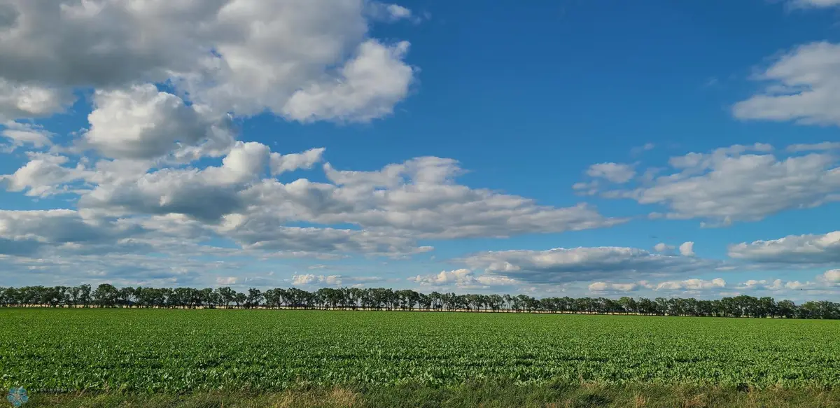 1702 110th St, Wolverton, MN 56594 - #1