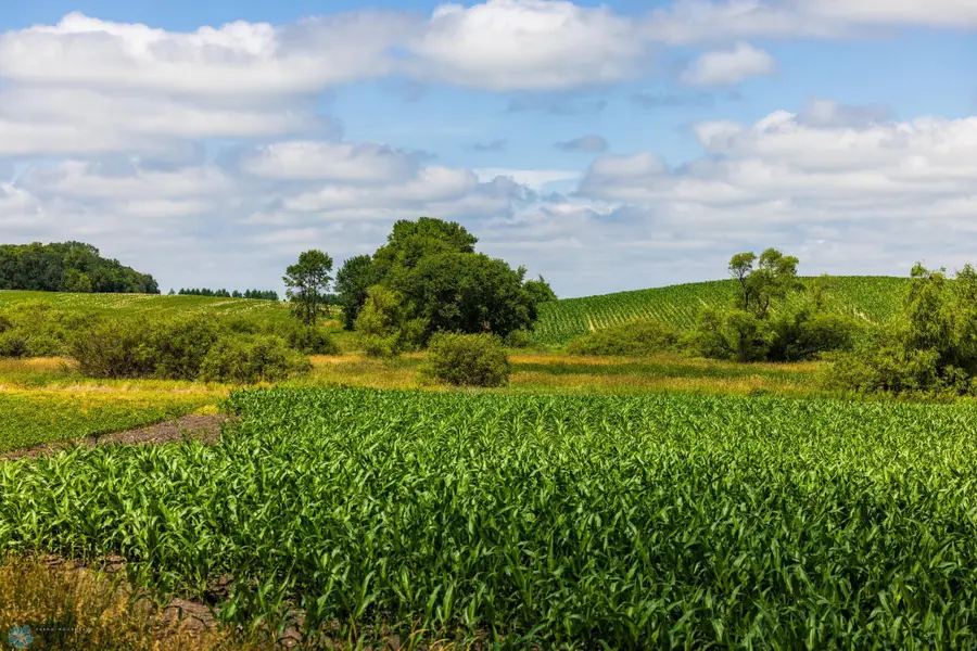 TBD 370 Street, Erhard, MN 56534 - Image #3