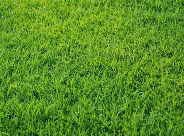 5137 Sydnie Road Nw, Rochester, MN 55901