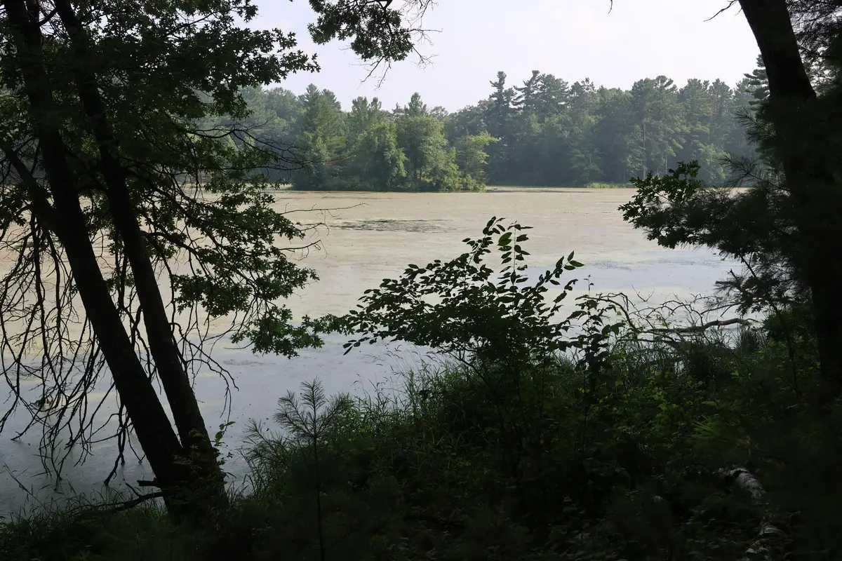 Lot 11 103rd Street, Frederic, WI 54837 - Image #1