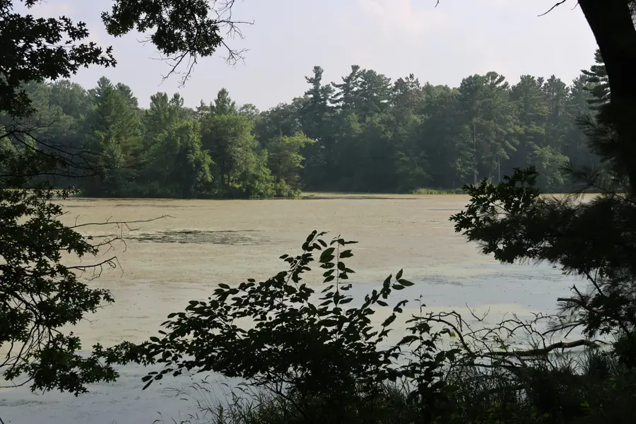 Lot 11 103rd Street, Frederic, WI 54837 - Image #3