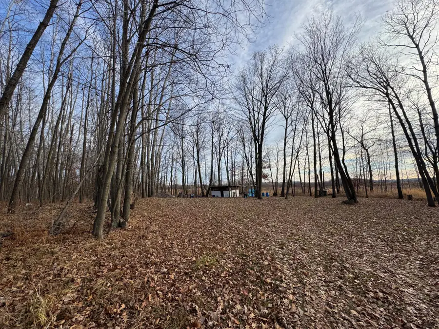 XXXX Sherwood Street, Brook Park, MN 55007 - Image #3