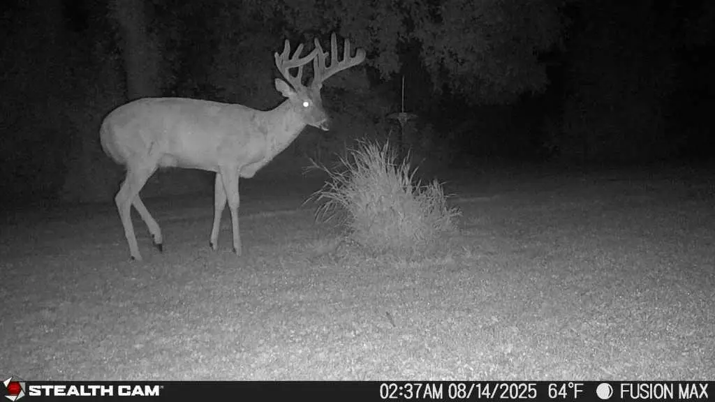 TBD 630th Street, Claremont, MN 55924 - #1