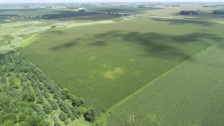 xxx Hwy 63 South, Spring Valley, MN 55975 - #3