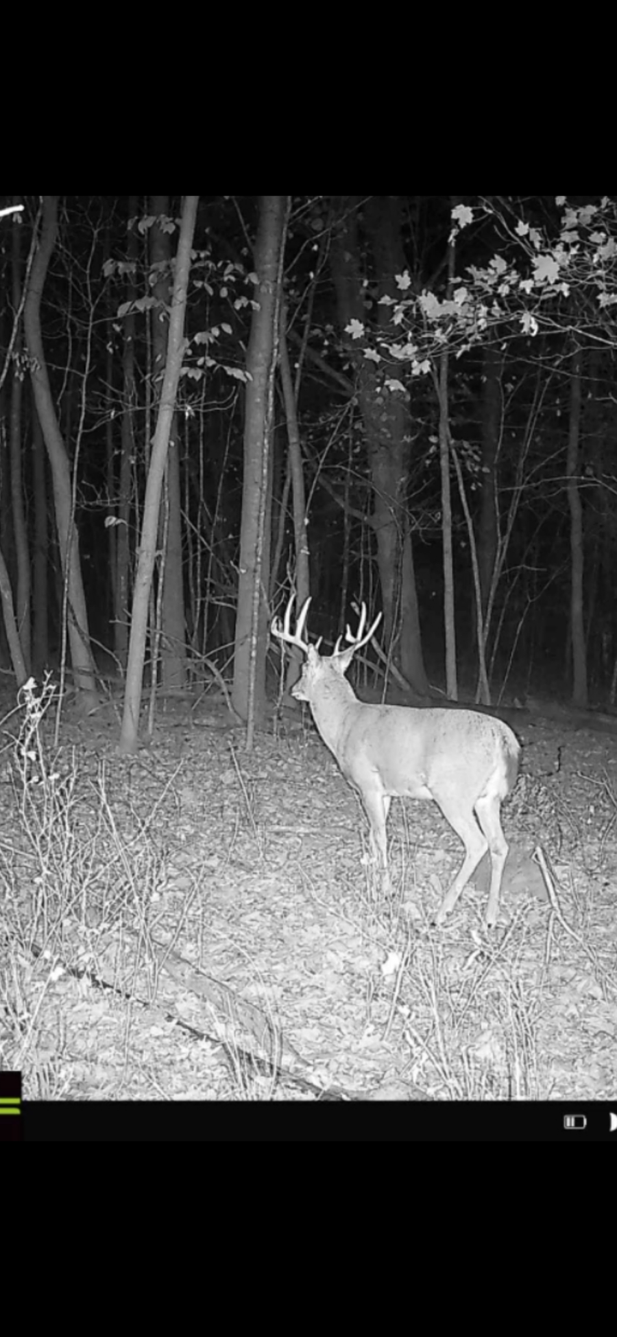 XX4 County Road 3, Holdingford, MN 56340 - Image #3