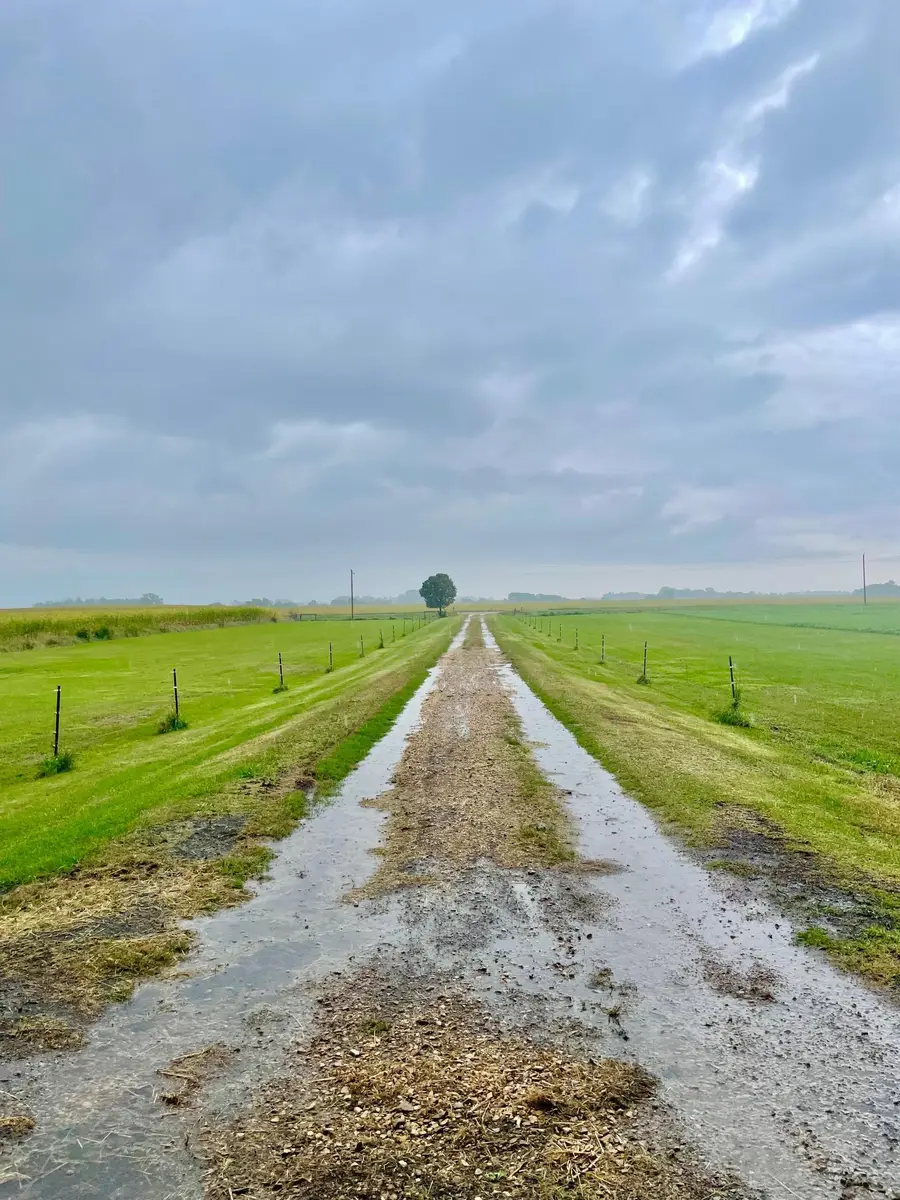 20157 540th Avenue, Wells, MN 56097 - #2