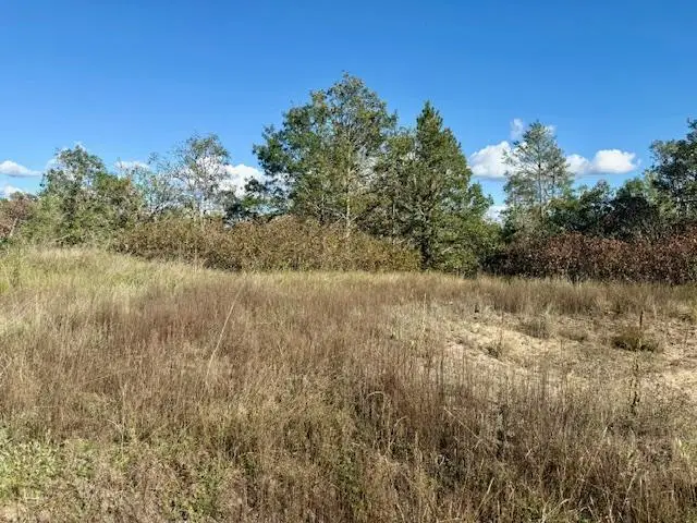 #2