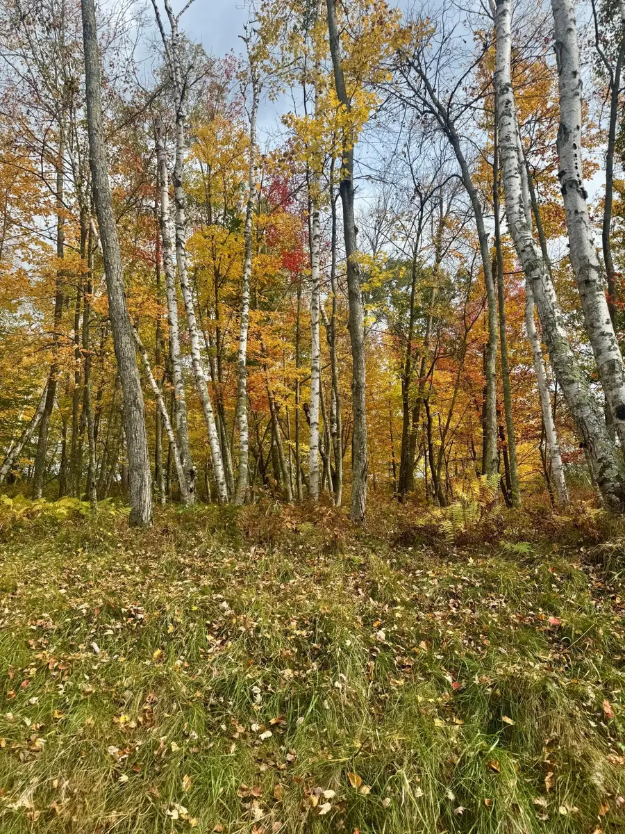 #2