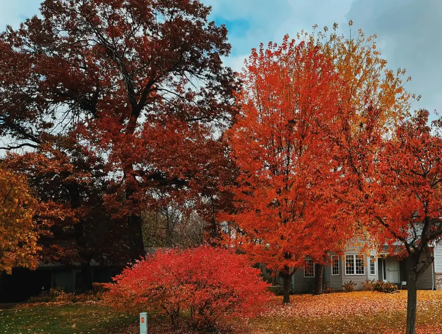 9967 Egret Boulevard Nw, Coon Rapids, MN 55433 - Image #2