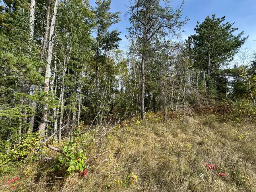 TBD 243rd Avenue, Shevlin, MN 56676 - Image #3